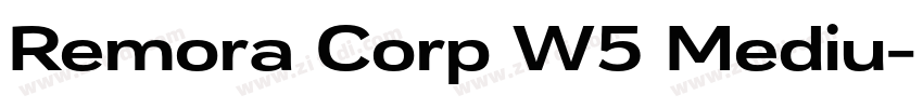 Remora Corp W5 Mediu字体转换